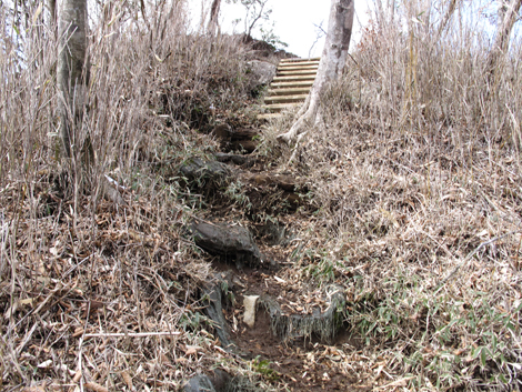 20160218hike (414)